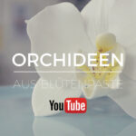 Orchideen aus Blütenpaste modellieren, neue Folge auf YouTube