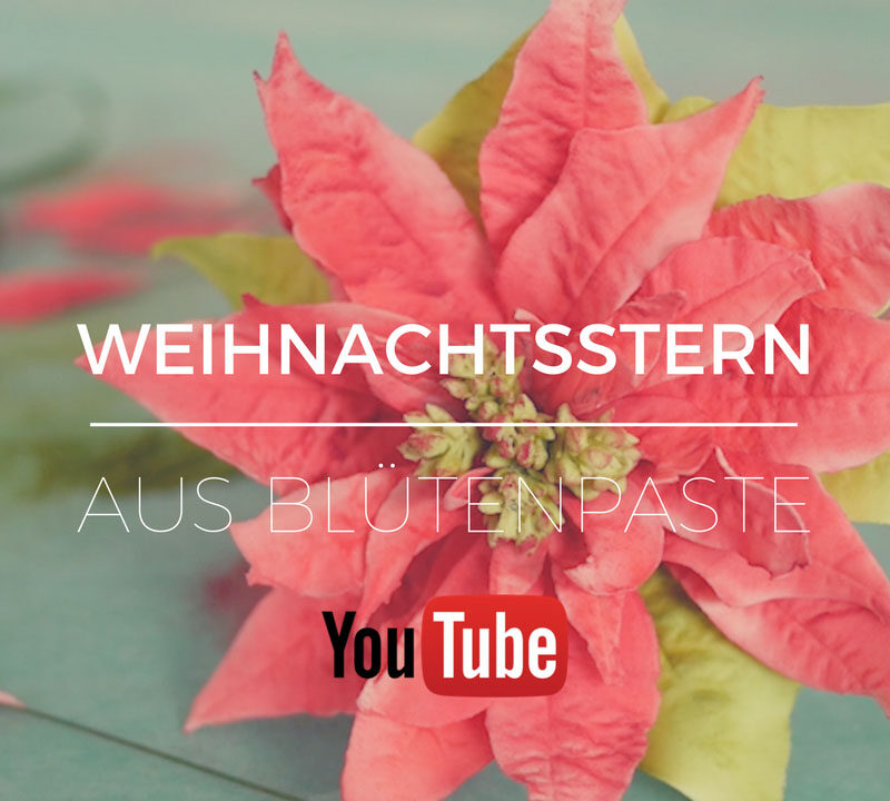 Weihnachtsstern aus Blütenpaste - Anleitung für Poinsettia aus Blütenpaste